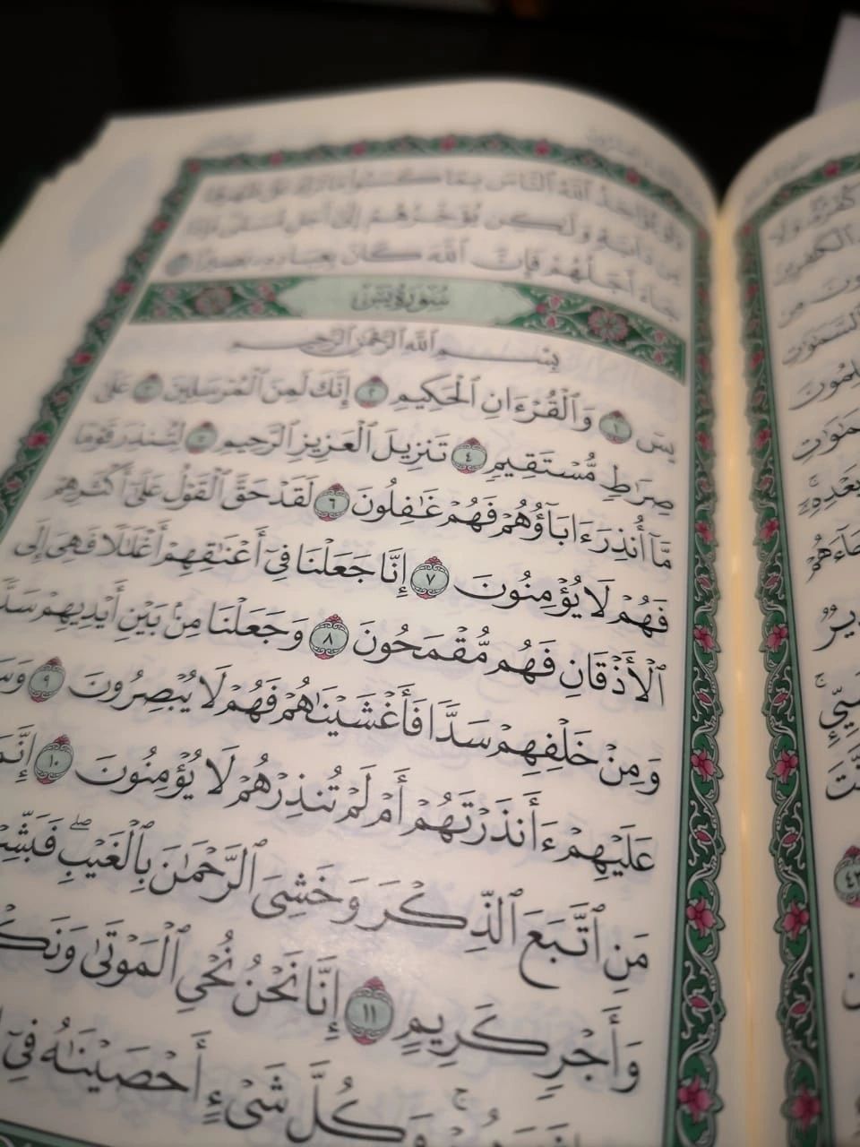 An open Qur'an on a dark background, photographed close up at an angle, with green-bordered pages.